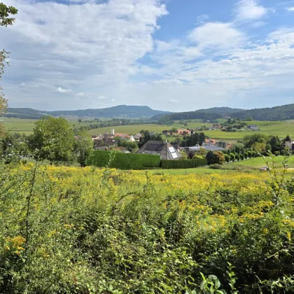 Sonniges Bauland mit Pläne und Baubewilligung! - Bild 2