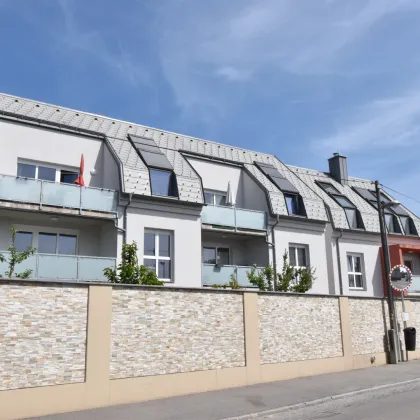 WOW - Süd-Garten mit "Badeteich" und Tiefgarage in begehrter Winzer Lage (Winzer Krems, Lenz Moser) - befristet vermietet - Bild 2