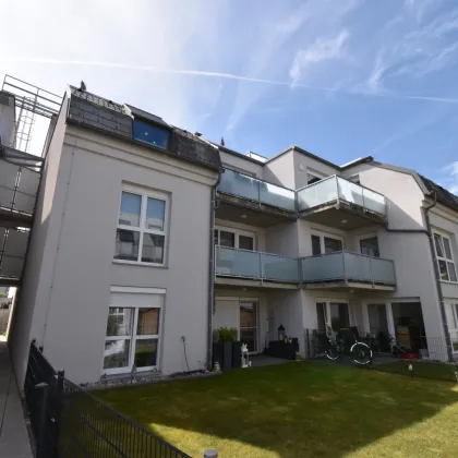 WOW - Süd-Garten mit "Badeteich" und Tiefgarage in begehrter Winzer Lage (Winzer Krems, Lenz Moser) - befristet vermietet - Bild 3