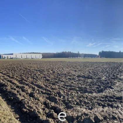 Attraktiver Betriebsbaugrund in Steinhaus, Oberösterreich! - Bild 2