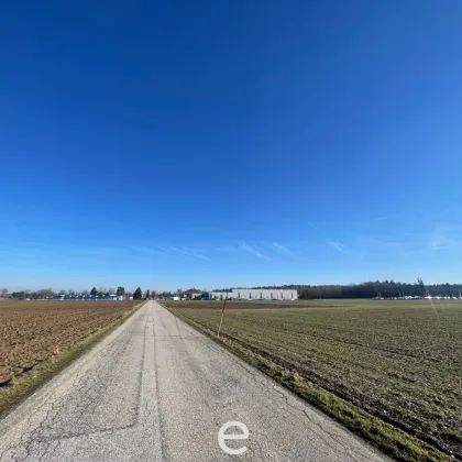 Attraktiver Betriebsbaugrund in Steinhaus, Oberösterreich! - Bild 3