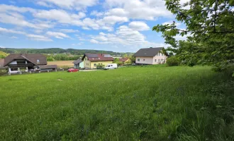 Sonniges Grundstück in leicht erhöhter Lage!