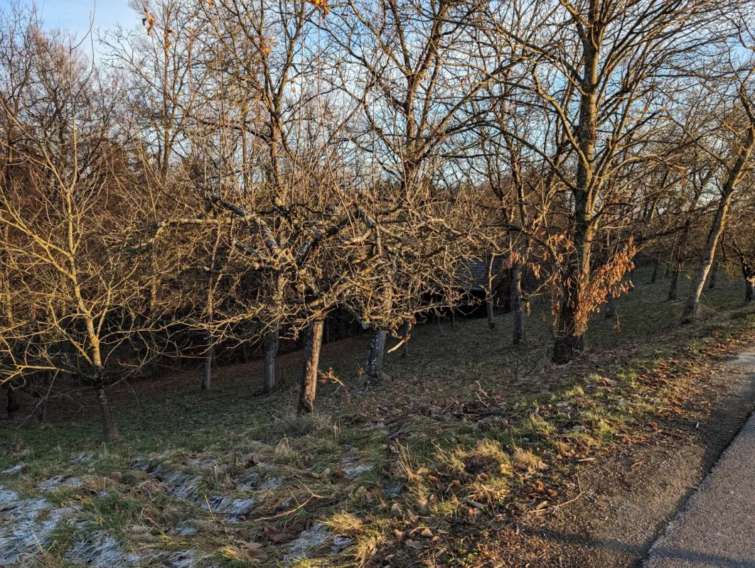 Großes Gartengrundstück in ruhiger Lage - Bild 1