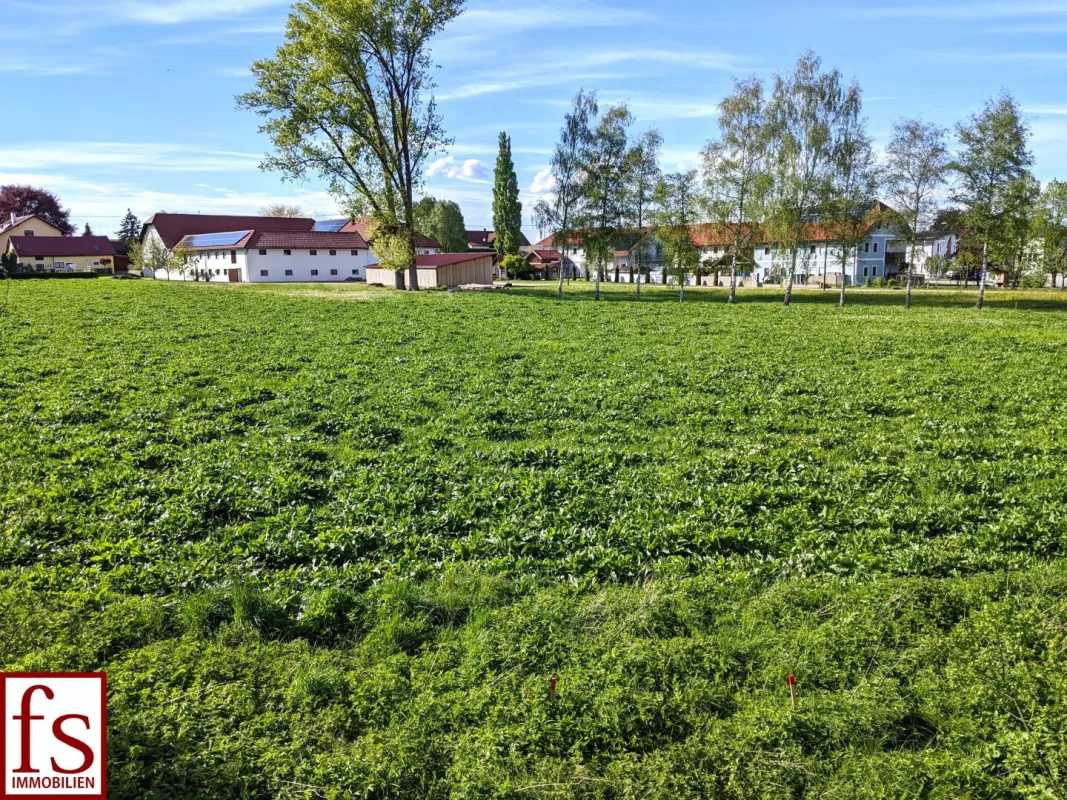 IDYLLISCH gelegener BAUGRUND nahe Ortszentrum – auch für BAUTRÄGER - Bild 1