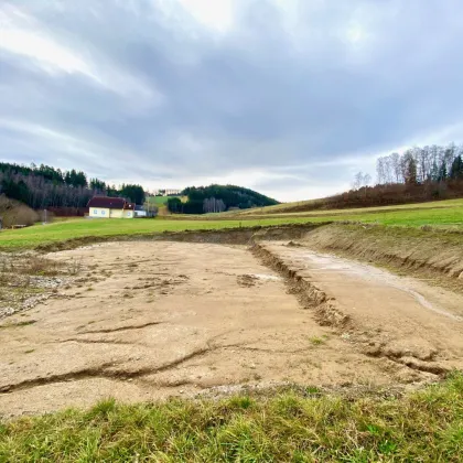 Besonderes Baugrundstück in Uttissenbach bei Zwettl - 4.519 ² Grundstücksfläche im Grünen - Bild 2