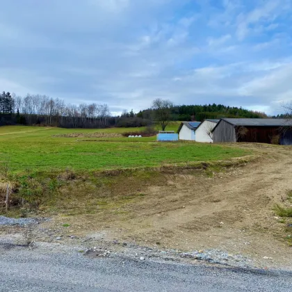 Besonderes Baugrundstück in Uttissenbach bei Zwettl - 4.519 ² Grundstücksfläche im Grünen - Bild 3
