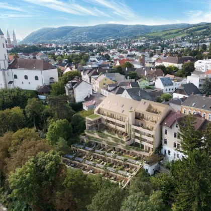 Eingereichtes Bauträgerprojekt mit Weitblick | Wohnungen, Gewerbeeinheiten & Hotel | ca. 1.742 m² erzielbare Nutzfläche | bestandsfrei - Bild 2