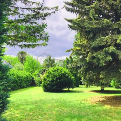 Einfamilienhaus im Secret Garden, ein Prachtgarten, im Nahbereich von Baden/Ebreichsdorf - Bild 3