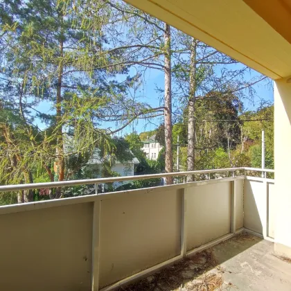 **DER SOMMER STEHT VOR DER TÜR-LOGGIA wartet ** 1230 WIEN**NEUBAU**2-ZIMMER **Schnell zugreifen !!!** - Bild 2