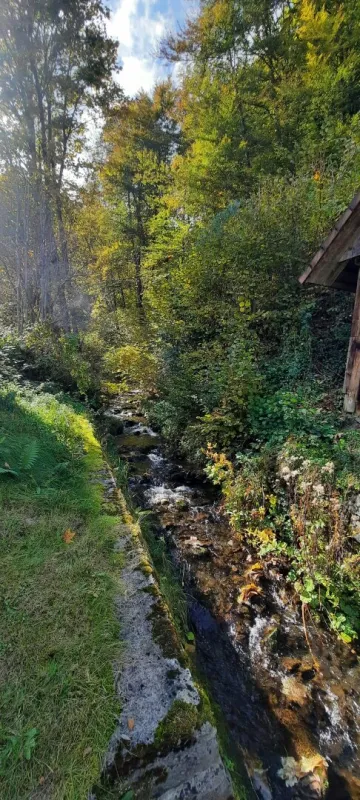 Für Naturliebhaber und Heimwerker- sanierungsbedürftiges Bauernhaus mit Nebengebäuden - zwischen Hermagor und Villach - Bild 1