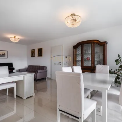 NEUER PREIS!!! 2-Zi-Wohnung mit Terrasse, Balkon und PKW- Stellplatz - an der Alten Donau - Bild 3