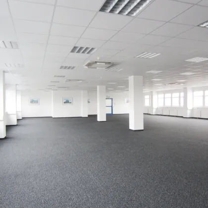 Lagerhalle 650 m2 südlich von Wien, in Wr. Neudorf - Bild 3