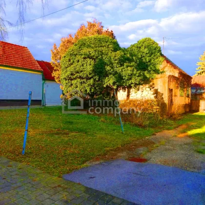 PREISSENKUNG  -Die Sensation - Bild 2