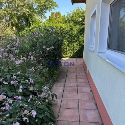 Ferienhaus mit Wintergarten und privatem Seezugang - Bild 3