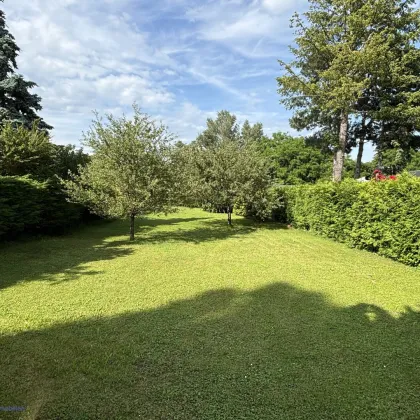 SCHULTZ IMMOBILIEN - Perfektes Baugrundstück! - Bild 2