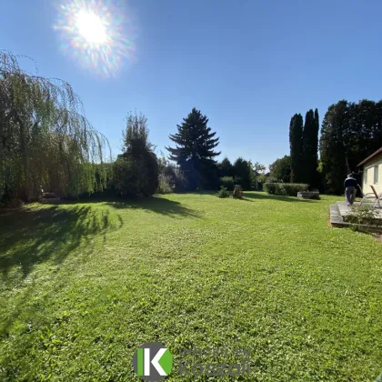 Viel Platz, Ruhe & Potential! - Bild 3