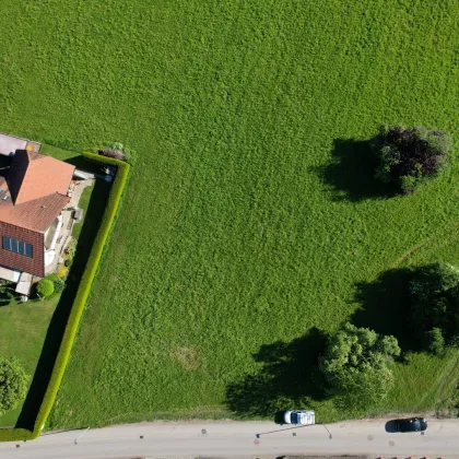 Vielseitiges Baugrundstück in Top-Lage von Fußach - auch teilbar - Bild 3