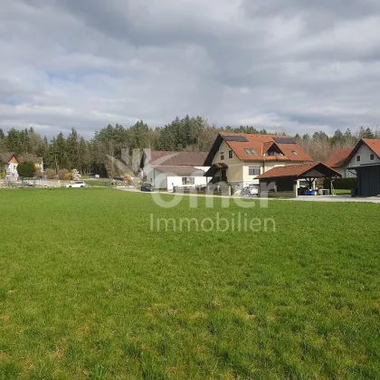 Sonniges Baugrundstück in schöner Grünlage nähe Graz - Bild 3