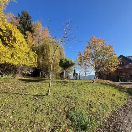 3 ha landw. Anwesen mit Panoramalage im Murtal - Bild 2