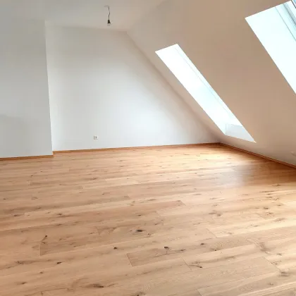 Naturnahes Renditepotenzial: Erleben Sie lichtdurchflutete Einheiten als rentable Investitionsmöglichkeit! - Bild 3