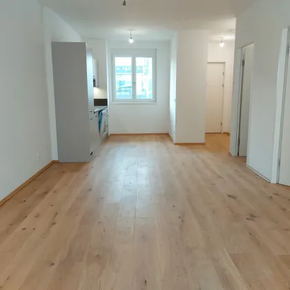 Naturnahes Renditepotenzial: Erleben Sie lichtdurchflutete Einheiten als rentable Investitionsmöglichkeit! - Bild 2
