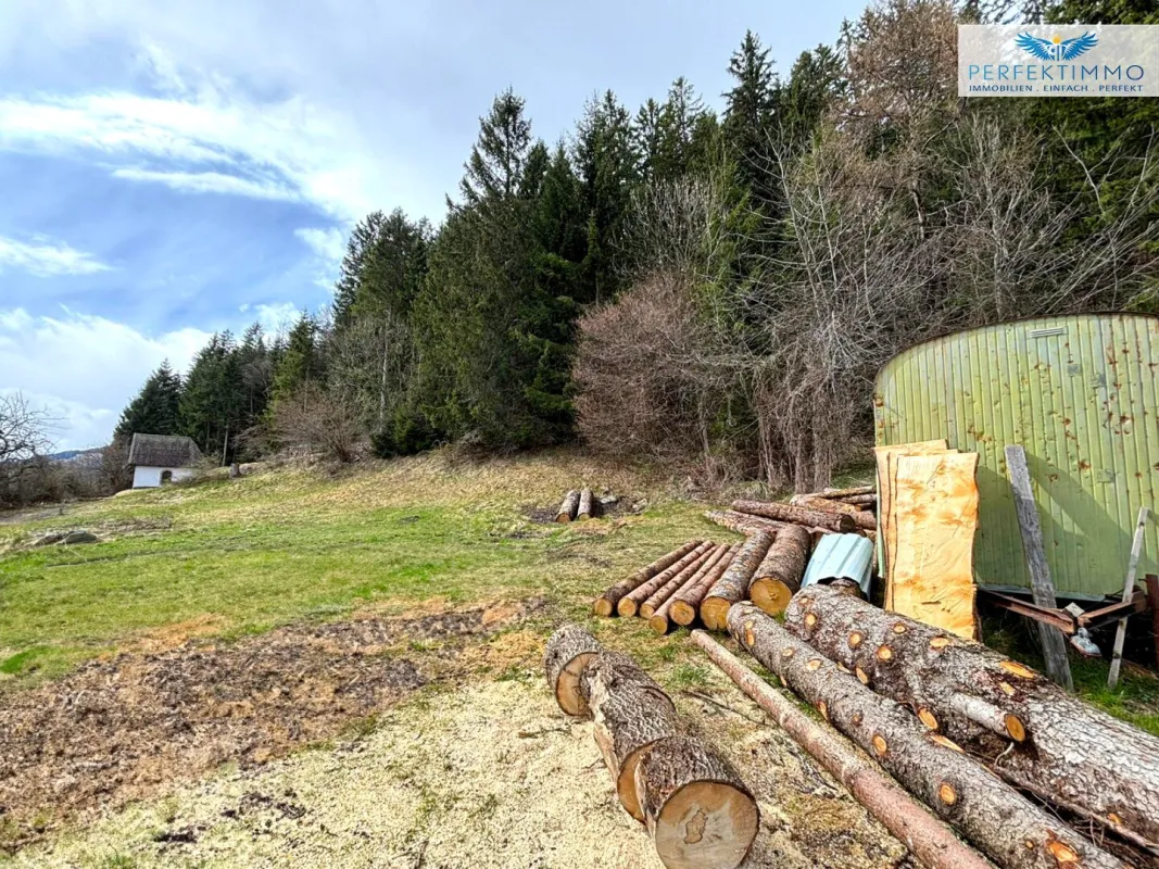 Waldnaher Baugrund in Ruhelage - Bild 1