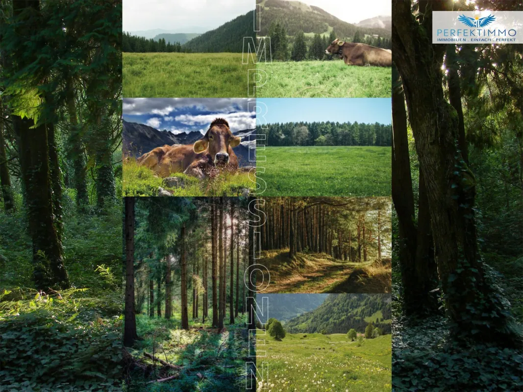 Landwirtschaftliche Flächen in Arzl im Pitztal - Bild 1