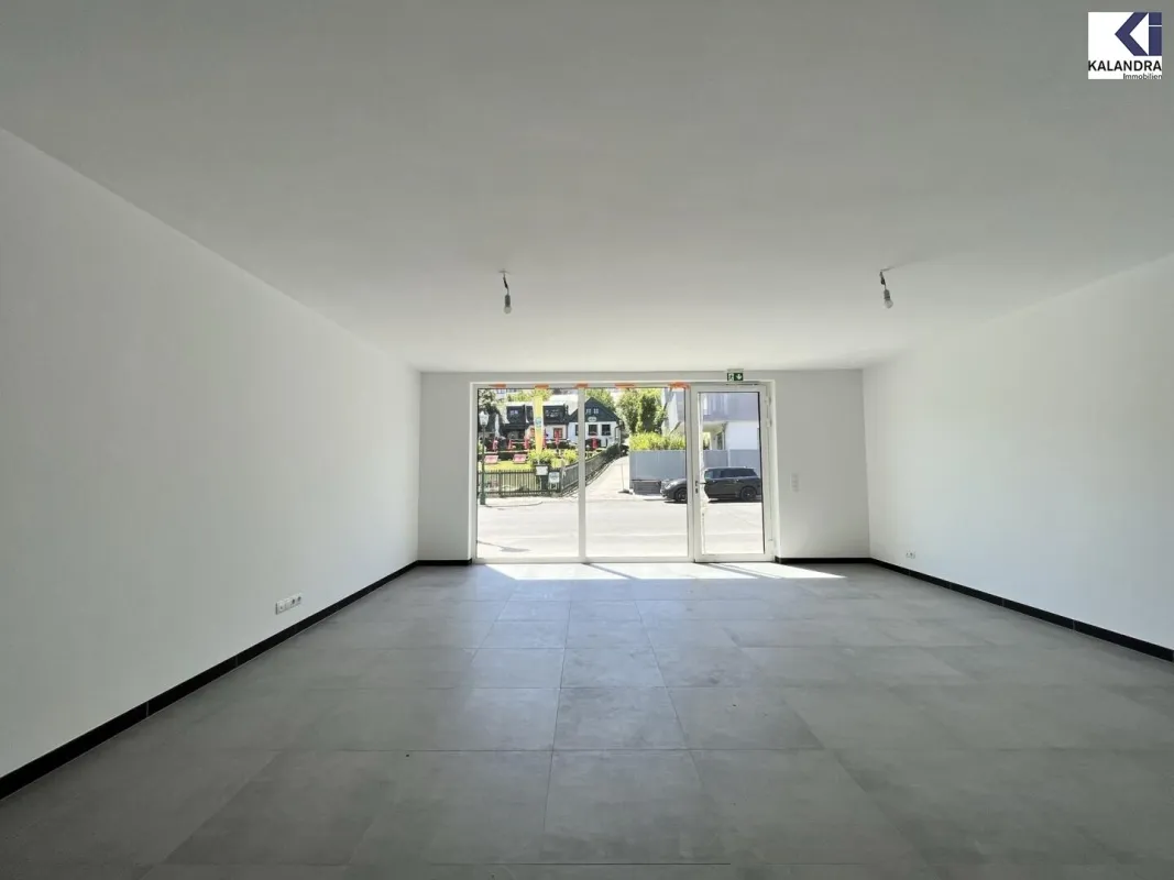 360° TOUR //  VINEYARD RESIDENCES - GESCHÄFTSLOKAL in NEUSTIFT AM WALDE - Bild 1