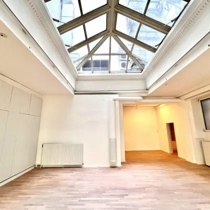 360° TOUR // REPRÄSENTATIVES  ALTBAUBÜRO nahe ALBERTINA - Bild 3