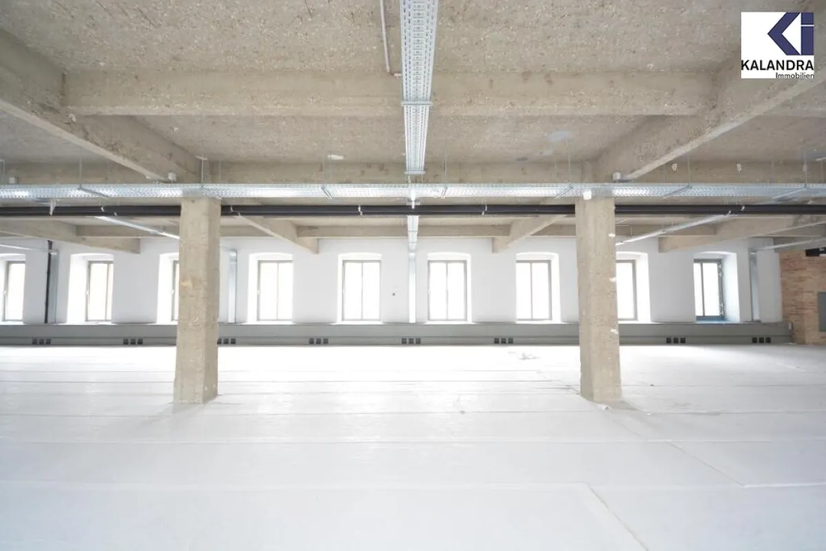 LOFT-BÜROS  IM FABIANI-HAUS - Bild 1