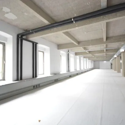 LOFT-BÜROS  IM FABIANI-HAUS - Bild 2