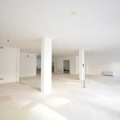 GESCHÄFTS-/ BÜRO-/ PRÄSENATIONS-FLÄCHEN nahe SCHOTTENTOR - Bild 2