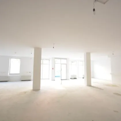 GESCHÄFTS-/ BÜRO-/ PRÄSENATIONS-FLÄCHEN nahe SCHOTTENTOR - Bild 3