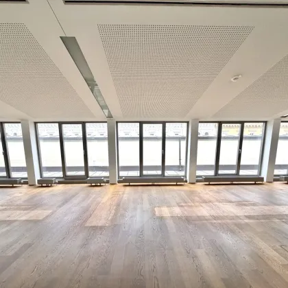 LUXUS-LOFT/ GROSSRAUMBÜRO IN DER WIENER BÖRSE - Bild 3