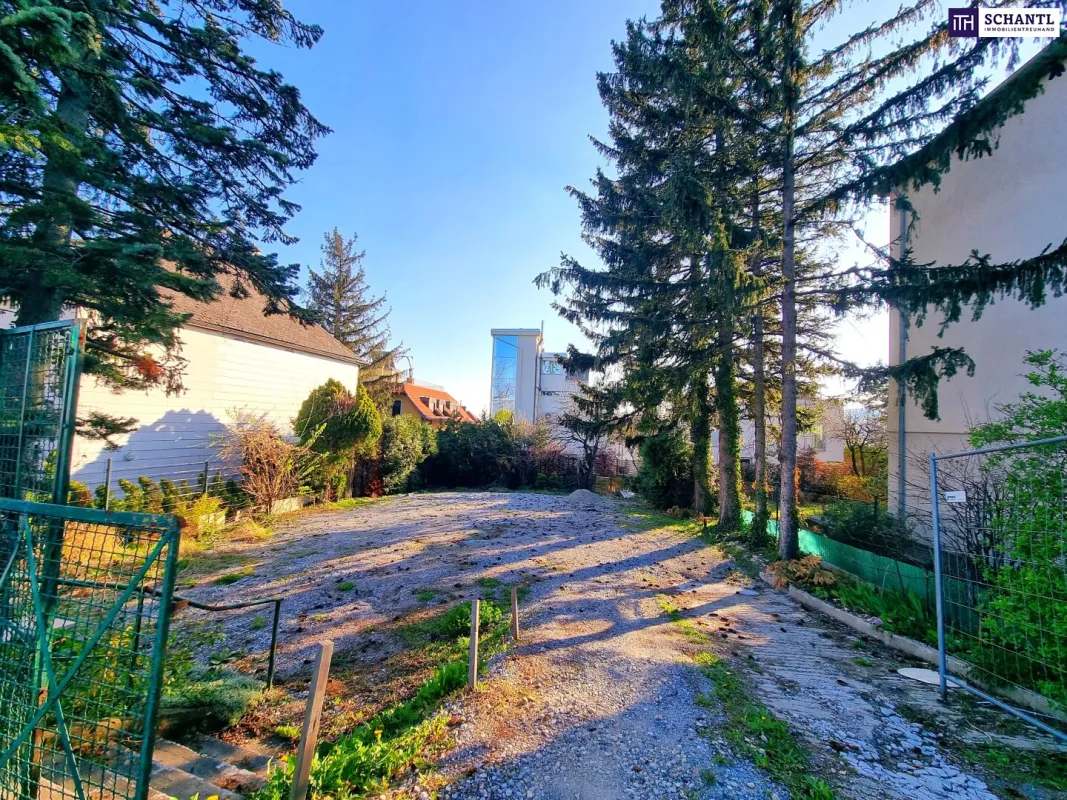 Neuer Preis - Rarität! Großartiges Baugrundstück am Schafberg! Bestlage + Attraktiver Wohnbau möglich oder Traum vom eigenen Haus erfüllen! Jetzt zugreifen! - Bild 1