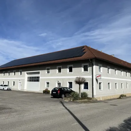 Lagerhalle mit Büro nähe A1 Autobahnanschluss Enns-West - Bild 3