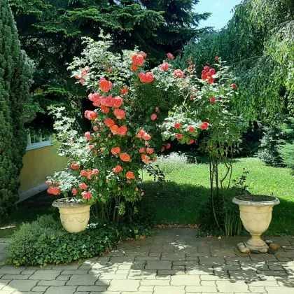 Biedermeier-Villa mit einer Garten-Oase der Ruhe! - Bild 3