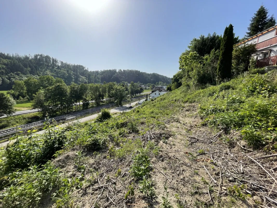 Großzügiges Grundstück in bester Lage von Walding – Sonnige Südhanglage mit Weitblick nahe Linz - Bild 1