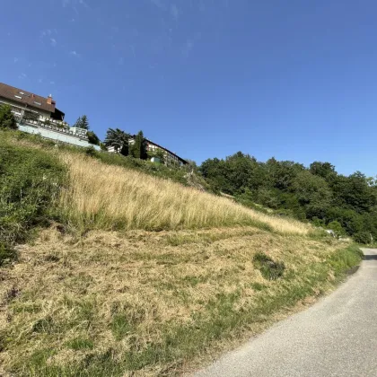 Großzügiges Grundstück in bester Lage von Walding – Sonnige Südhanglage mit Weitblick nahe Linz - Bild 2