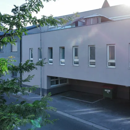Willkommen in Eisenstadt: Hier beginnt Ihr neues Kapitel - Bild 2