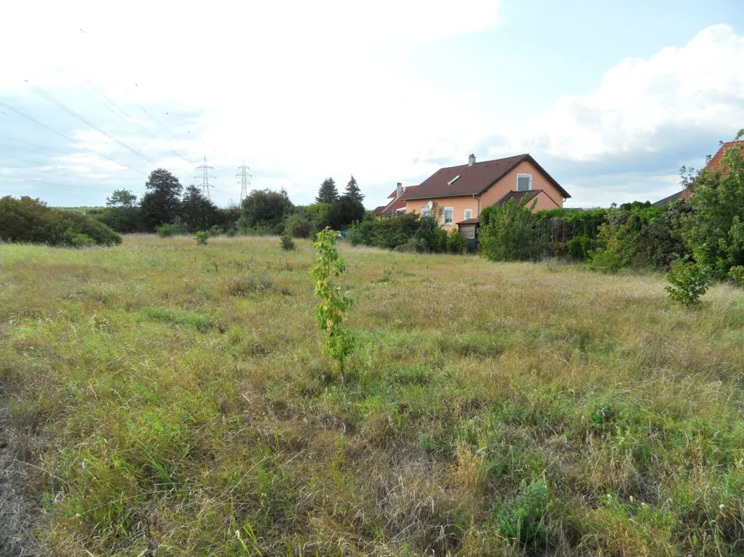 GRÖSSEN UNTERSCHIEDLICHE GRÜNGÜRTELFLÄCHEN Mit ZUKUNFT – UNTERSCHIEDLICHE NUTZUNG - Bild 1