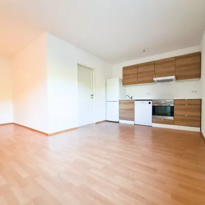 Erstbezug nach Sanierung 2-Zimmer-Wohnung in Böheimkirchen - Bild 2