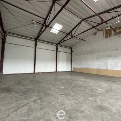 Lagerhalle und Büro in St. Pölten / Unterradlberg mit  1500m² zu vermieten. - Bild 3