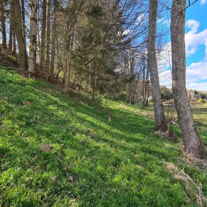 Großes Grundstück mit Sondernutzung im Freiland - Bild 2