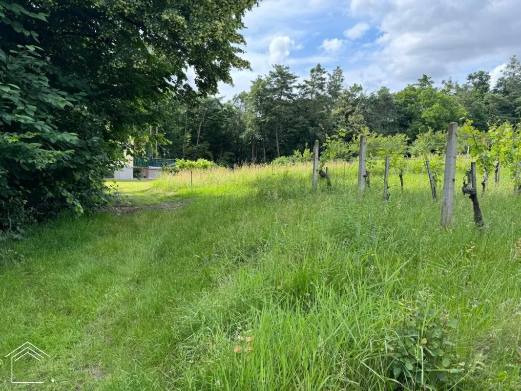 Burgenlands Weinparadies: Landwirtschafts- und Weinbauliegenschaft zum Traumpreis! - Bild 1