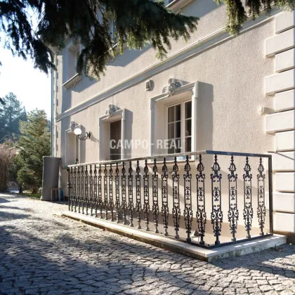 CAMPO-VILLA: Glanzvolles Ambiente in sonniger Grünruhelage - Bild 2