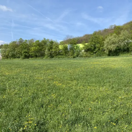 Großes Grundstück 4.267m² in Weissenbach/Hinterbrühl mit vielen Möglichkeiten! - Bild 2