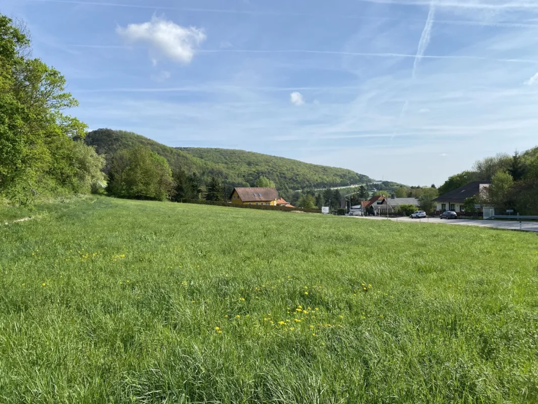 Großes Grundstück 4.267m² in Weissenbach/Hinterbrühl mit vielen Möglichkeiten! - Bild 1