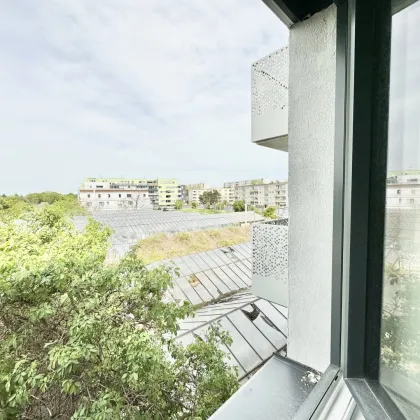 WOHNOASE DONAUFELD | WUNDERSCHÖNE 2-ZIMMER MIT LOGGIA | OPT. TIEFGARAGE - Bild 2
