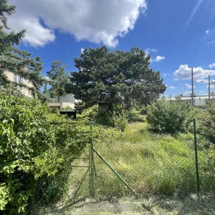 TOLLES BAUGRUNDSTÜCK IN LIESING - PERFEKT FÜR IHR EIGENHEIM - DOPPELHAUS MÖGLICH - Bild 3